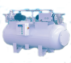 Вакуумный насос для станции медицинского вакуума серии AV