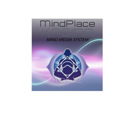 Майнд-машина Kasina